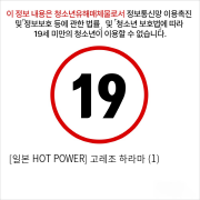 [일본 HOT POWER] 고레조 하라마 (1)